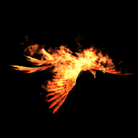 Hinh dong Phoenix